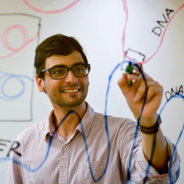 Filipe Tavares-Cadete