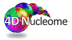 4DN Logo